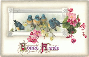 Bird-Card_0001-1