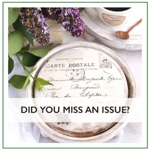 Did-You-Miss-An-Issue