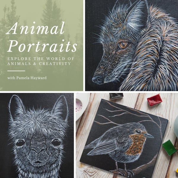Animal Portraits Online Class by Pamela Hayward